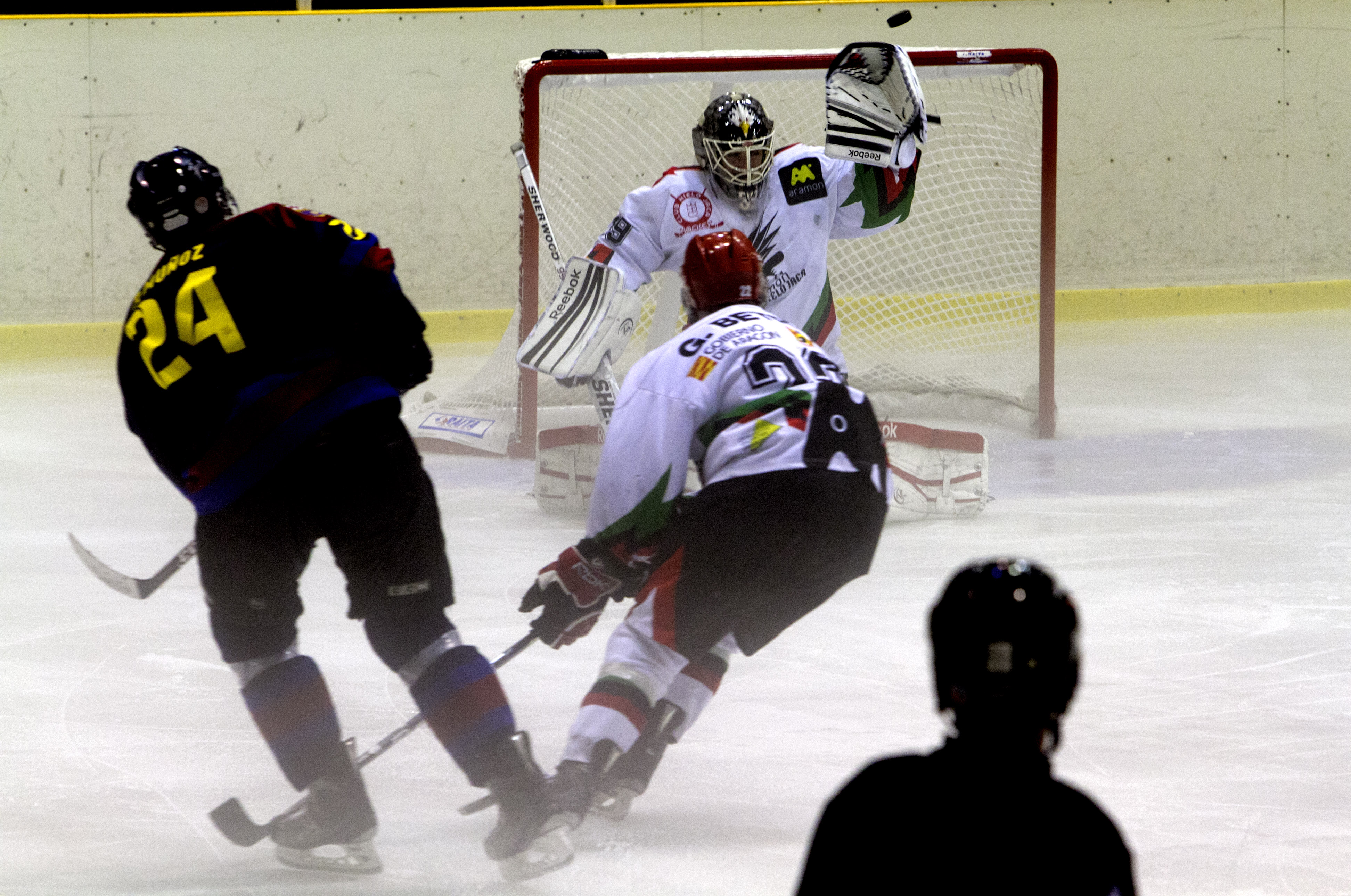 liga hockey 2012 - FEDH